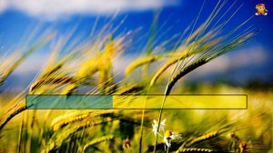 Ой, зелене жито, зелене - Українська Народна Пісня (Караоке)