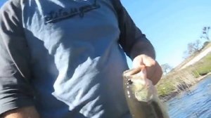 Klau Mine Pond Large Mouth Bass 2/12/11