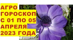 Агрогороскоп с 01 по 05 апреля 2023 года. Агрогороскоп з 01 по 05 квітня 2023 року