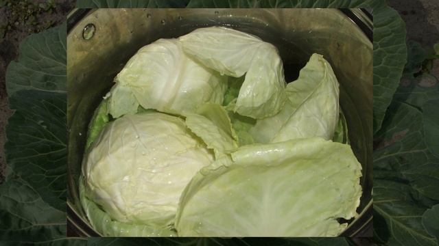 КАК ИЗБАВИТЬСЯ от КАШЛЯ при помощи КАПУСТЫ. Компрессы
