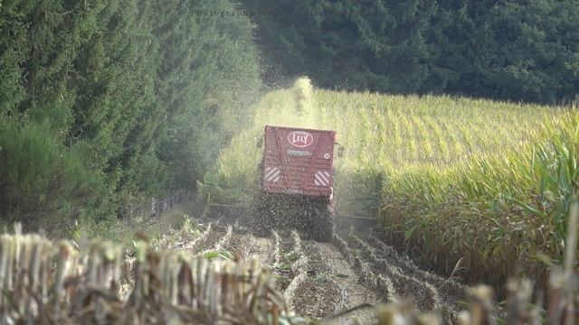 Mais Silage 2022 | John Deere 9600 | Taserag | Fendt + Lely | Ardennen смотреть онлайн
