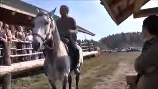 Мастер-класс по работе с лошадью в Слободе Германа Стерлигова.mp4 смотреть онлайн