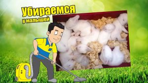 Кроличья ферма - убираемся в гнездах