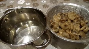 Маринованные лесные грибы маслята консервируем на зиму. Рецепт маринованных грибов.