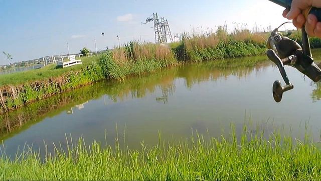 АкваСтейт. Карась летом на поплавок. От этого теста рыба дуреет! смотреть онлайн