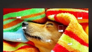 Телевизор Samsung QE43Q60CAUXRU