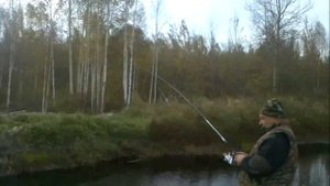 Ловля щуки в Шатуре на канаве