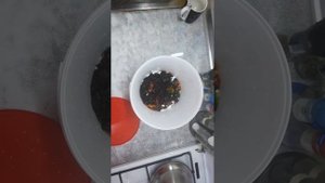 Развожу червей для рыбалки в квартире