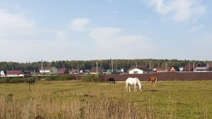 Деревня Старое Аннино - обзор деревни от компании «Удачные земли»