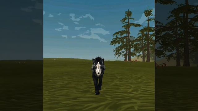 #WildCraft