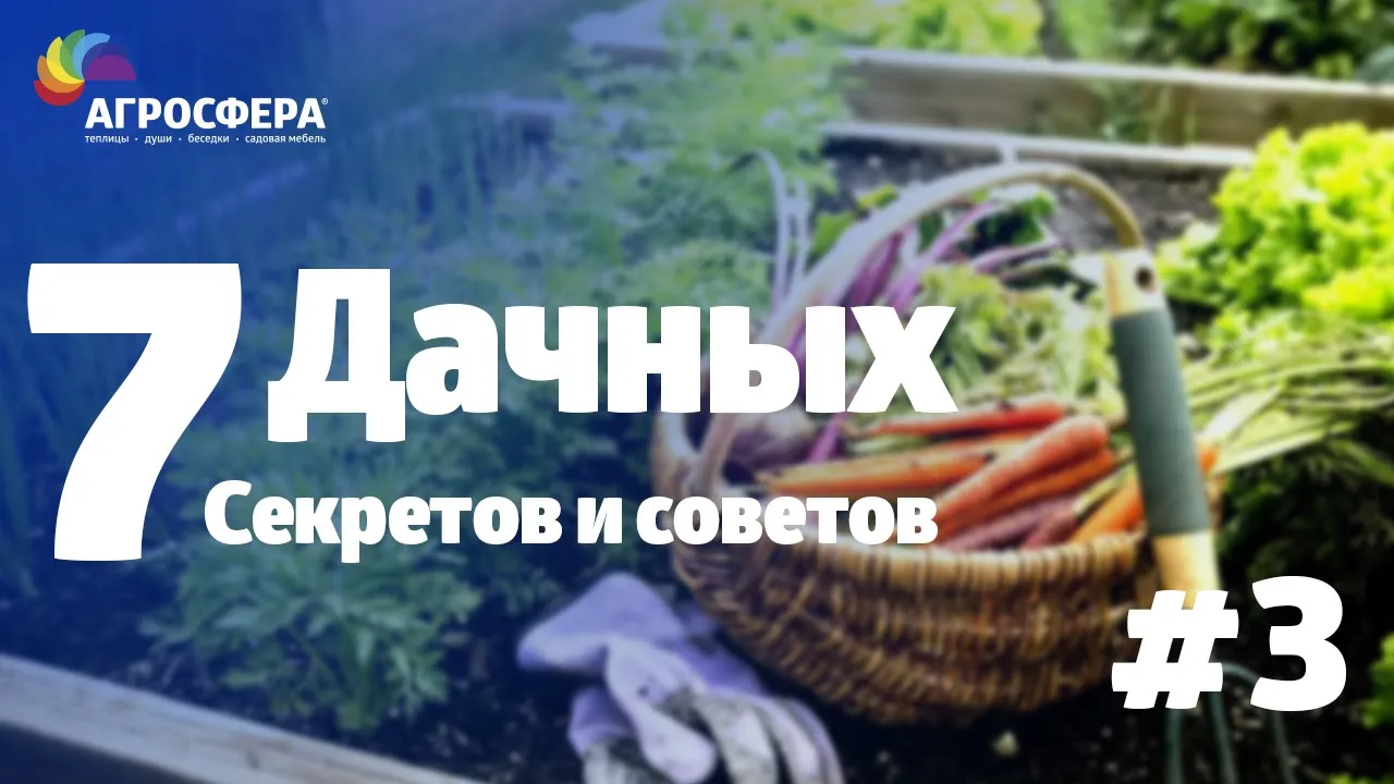 Советы для дачи и сада #3 - семь рекомендаций / агросфера.рф смотреть онлайн