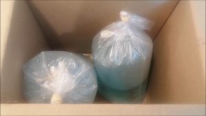 Купил дискусов белый даймонд и белый леопард