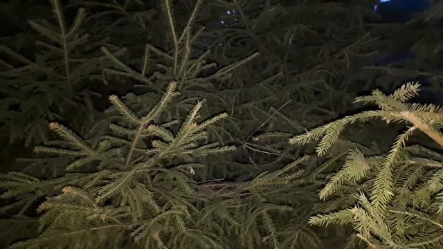 Рефрактометр - ликбез для автоледи!) смотреть онлайн