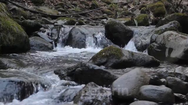 Звуки природы для релаксации, сна и медитации. Звуки ручья.The sound of a stream for relaxation. смотреть онлайн