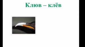 Логопедическое занятие по коррекции акустической дисграфии "Дифференциация звуков и букв Ю-Ё"