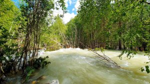 Mountain river sounds without birds - mountain nature 4K