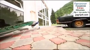 Пансионат Гагрипш Гагра Абхазия