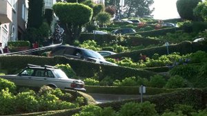 Красивые клумбы