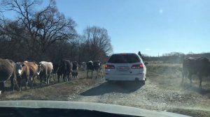 Неудавшаяся рыбалка в Кипарисово. Приморский край, октябрь 2020