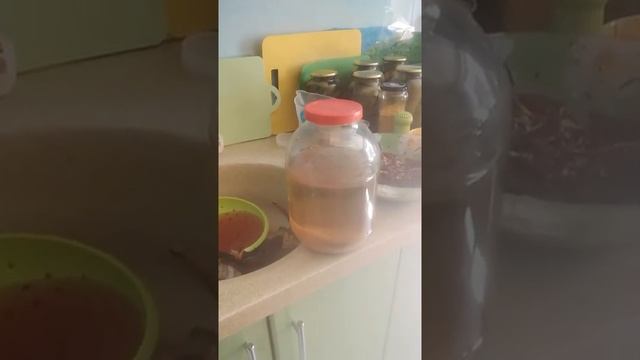 Полезные салаты на каждый день из кабачка свеклы моркови огурца смотреть онлайн