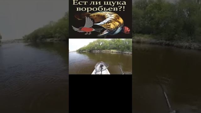 12 ноября 2023 г. смотреть онлайн