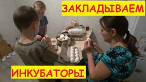 Закладываем инкубаторы / Купили второй инкубатор / Инкубатор несушка на 104 яйца