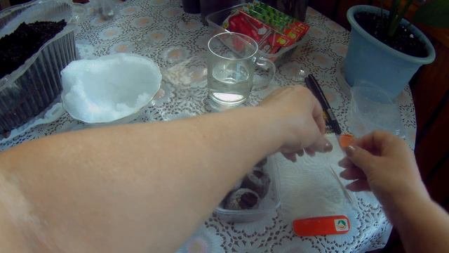 Клубника🍓Горячий🍓 и холодный способ🍓 посева земляники крупноплодной🍓