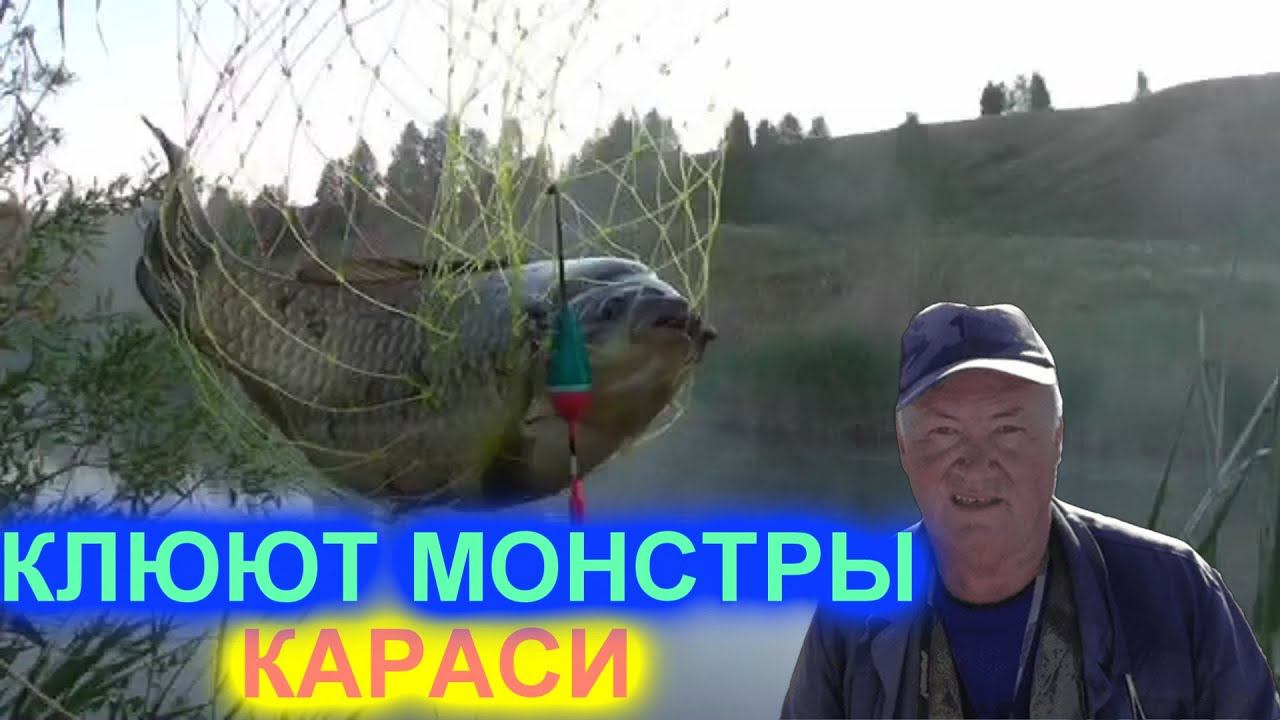 Клюют монстры караси