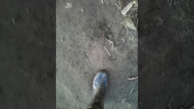 Разбиваем мой телефон смотреть онлайн