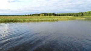Казанка 5М4 Tohatsu 50 \ На рыбалке на Иваньковском водохранилище ( Река Волга )