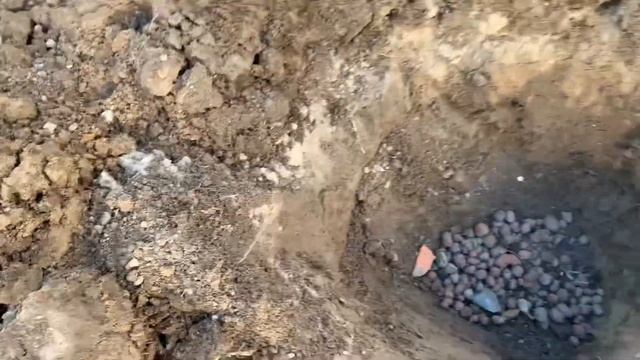 Высадка гортензии метельчатой Дентель де Горрон в открытый грунт???. Что добавляю при посадке? смотреть онлайн