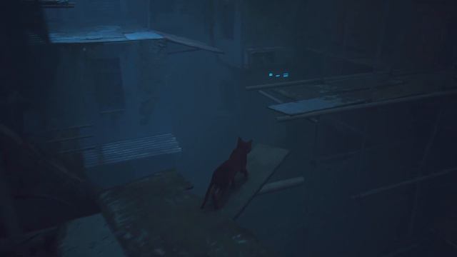 Мертвый город | Прохождение Stray PS5 | #1