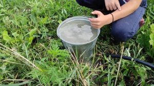 Своя вода! Проверка нашей абиссинской скважины