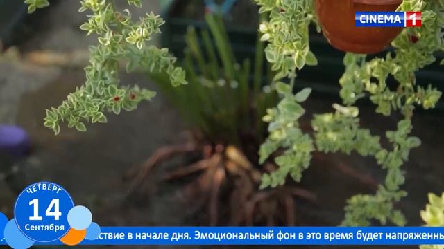 Новое Утро 14.09.2023 смотреть онлайн