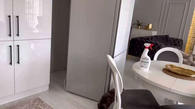 BACIM GELDİ?MÜJDEMİ İSTERİM?MİSAFİR ÖNCESİ DİP KÖŞE TEMİZLİK?CLEAN WİTH ME?OY ÇOK İĞRENÇTİ?VLOG смотреть онлайн