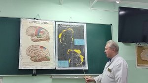 Видеолекция "Конечный мозг"