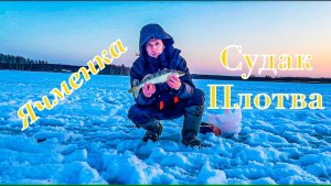 Рыбалочка на Ячменке. Садака поймали