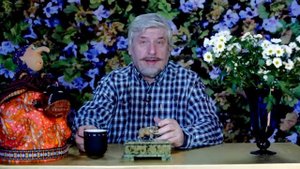 С. Савельев. Мы уже видим плоды