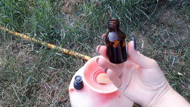 Развожу валерьянку для капусты! Кошек буду привлекать! смотреть онлайн