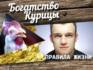 Богатство Курицы: Джиу-джитсу vs. йога