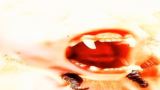 Organisms of Sarkic Cults Overview | SCP Foundation lore explained смотреть онлайн