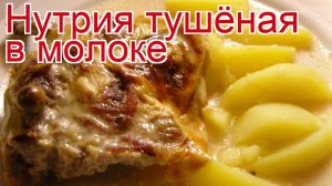Рецепты из Нутрии тушки - как приготовить нутрию пошаговый рецепт - Нутрия тушёная в молоке