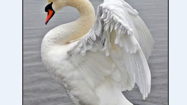 от друга-друзьям для души.. смотреть онлайн