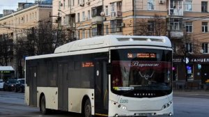 Воронежский автобус (мем) 5А и 80