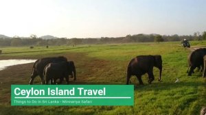 Jeep Safari Tours in Sri Lanka