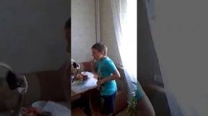 Желтобрюх вернулся?!?!?!?!?!?!?!?!?!?!?!?!??!?!#1