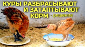 Куры разбрасывают и затаптывают корм - решение проблемы #сезонконтентаRUTUBE