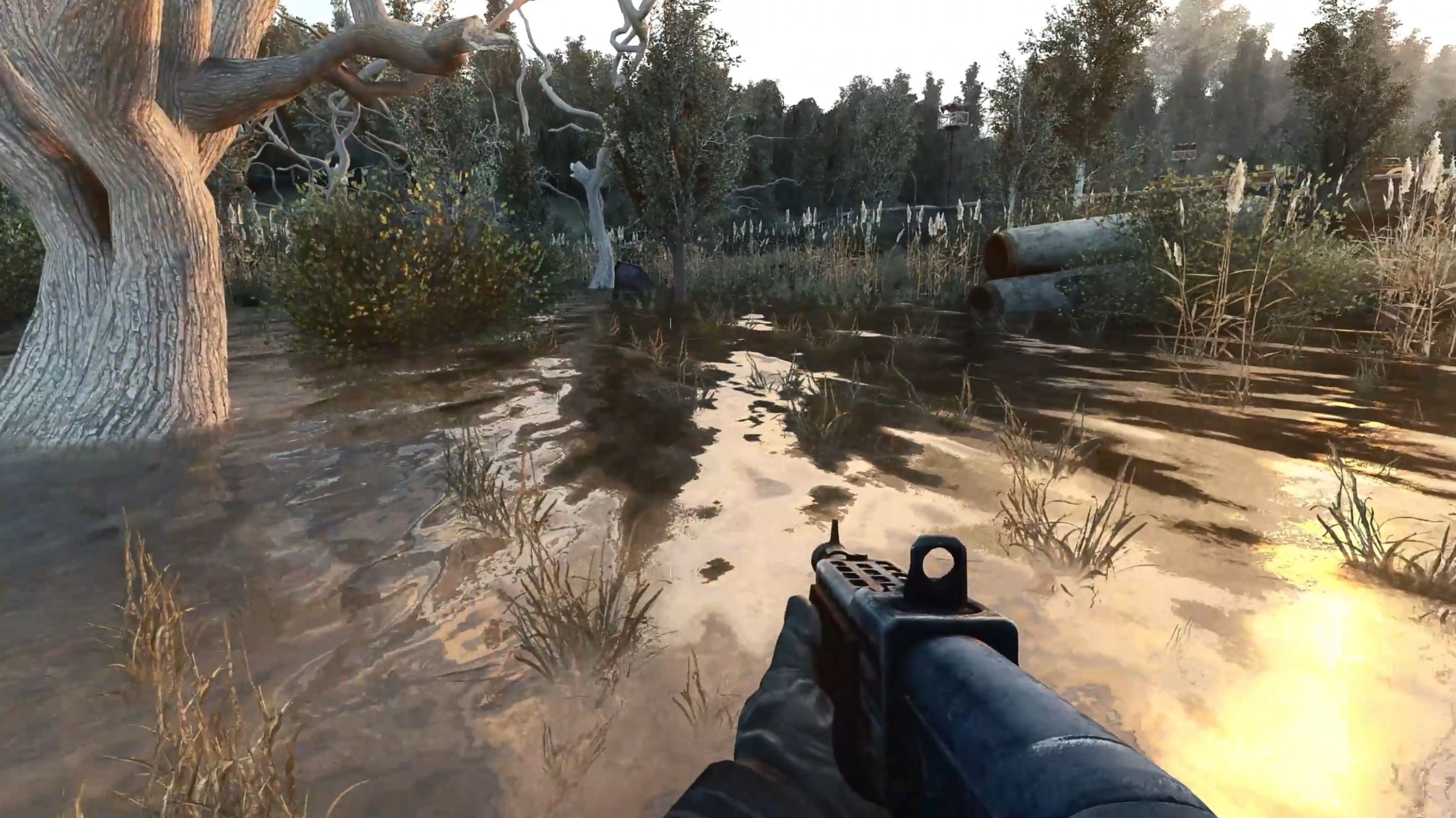 S.T.A.L.K.E.R. Shadow of Chernobyl Прохождение в фор "Исследователь"№52 - Янтарное болото.(часть 1)