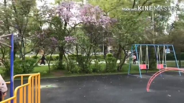 Что сделали с парком! Парк им. Павлика Морозова г.Екатеринбург.