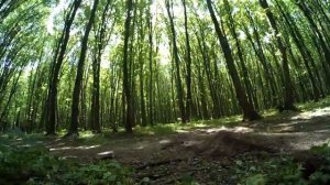 ВЕЛОБЛОГ ПОКАТУШКА В ОДИНОЧКУ Как построить земляной трамплин для велосипеда ДЕРТ ТРЕЙЛ